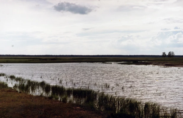 Уржумский заказник.