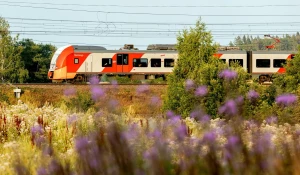 Билет на электрички в Сибири можно будет купить дешевле.