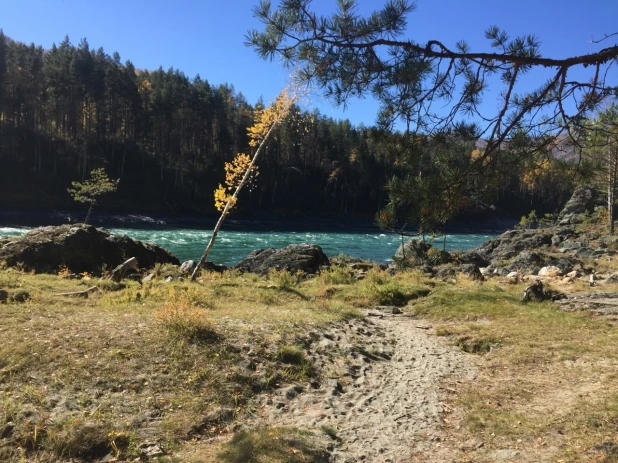 Осень - прекрасная пора. Красоты Горного Алтая — фотоподборка.