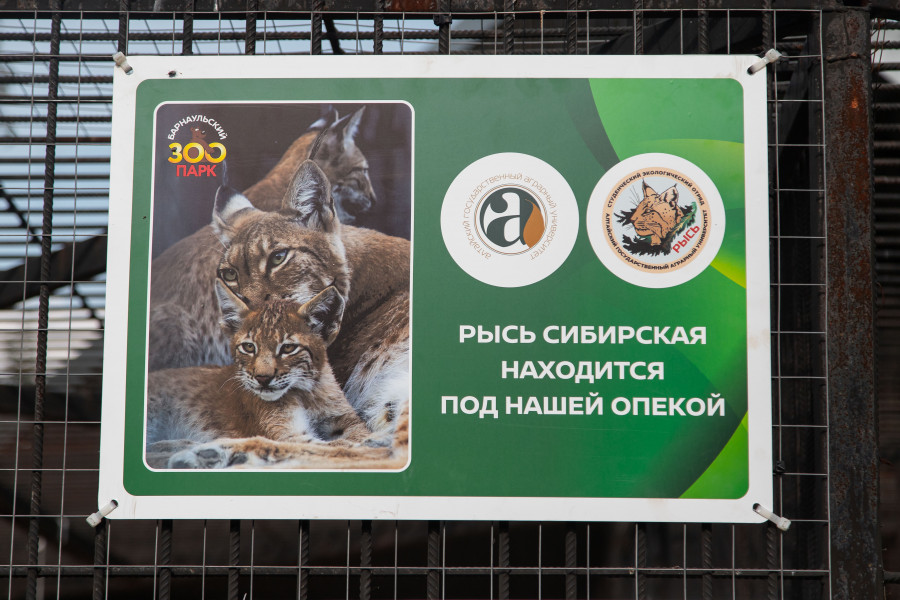 Подписание соглашения о сотрудничестве между АлтГАУ и барнаульским зоопарком