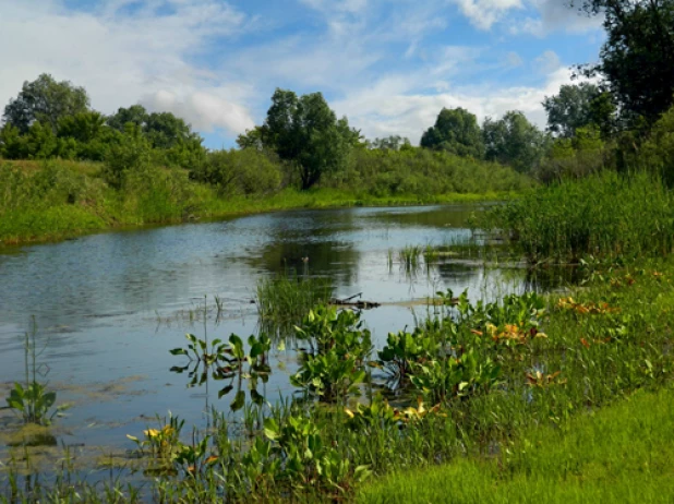 Река Бурла.