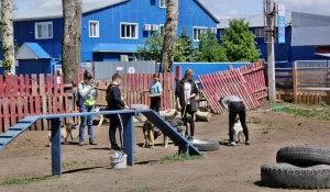 Приют "Ласка".