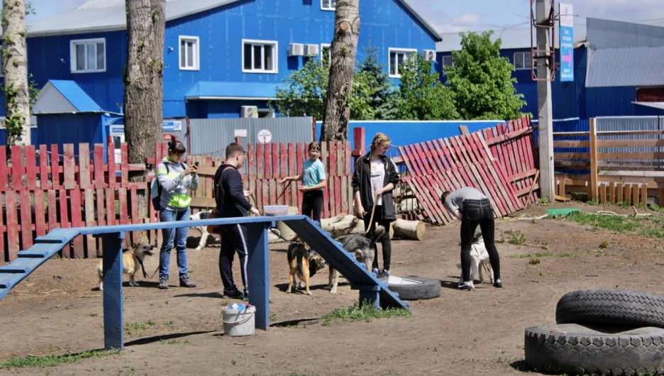 Приют "Ласка".