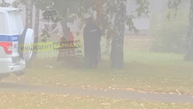 В Барнауле под деревом нашли труп женщины