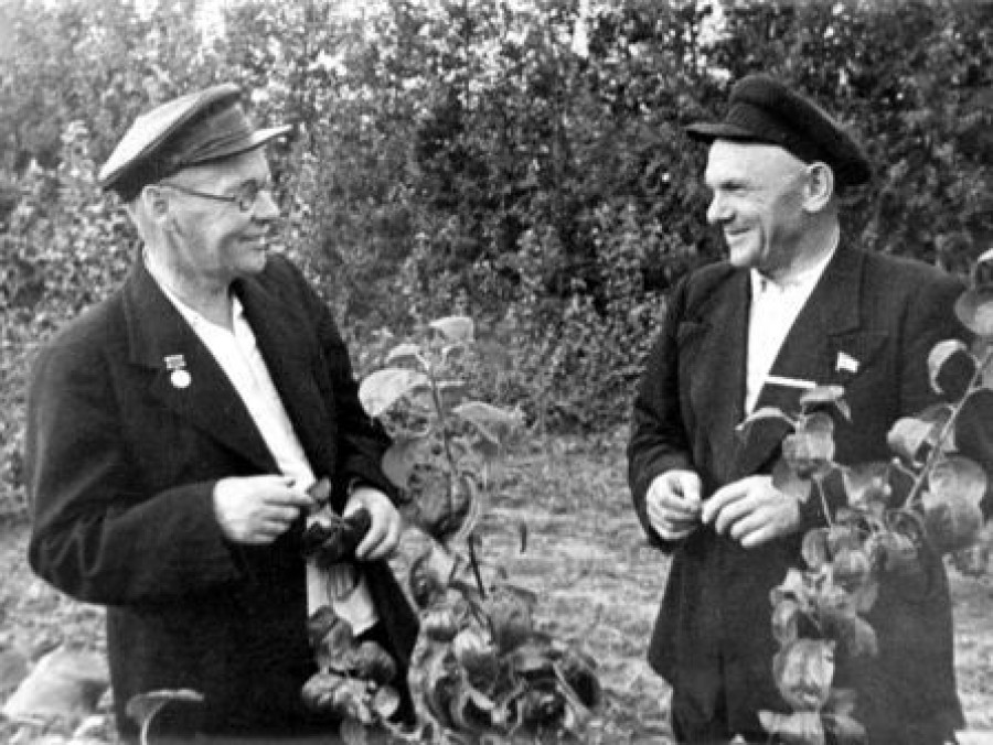 М. А. Лисавенко (слева) и Ф. М. Гринько. 