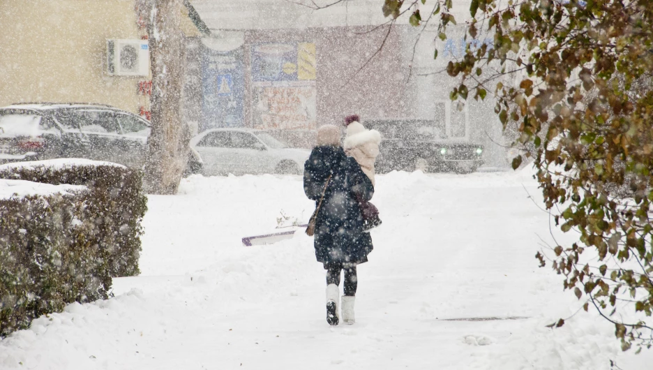 Последствия снегопада в октябре в Барнауле. 2016 год.