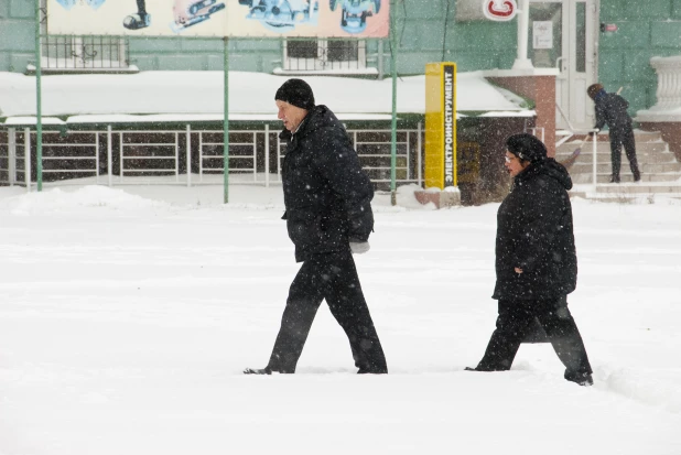 Последствия снегопада в октябре в Барнауле. 2016 год.