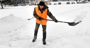 Последствия снегопада в октябре в Барнауле. 2016 год.