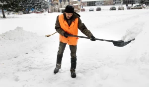 Последствия снегопада в октябре в Барнауле. 2016 год.