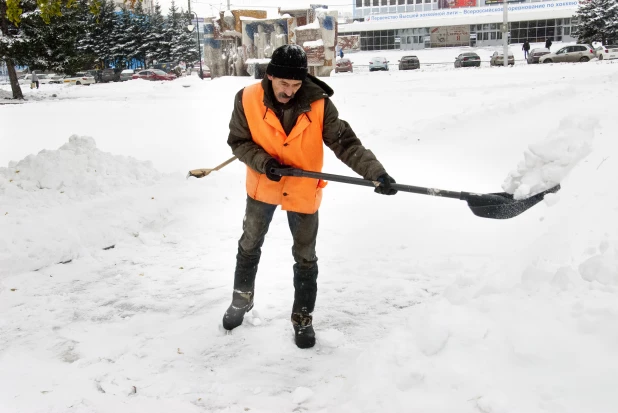 Последствия снегопада в октябре в Барнауле. 2016 год.