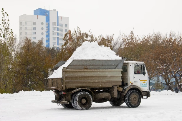 Последствия снегопада в октябре в Барнауле. 2016 год.