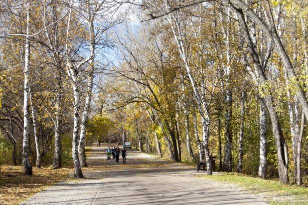 Юбилейный парк, осень 2023.