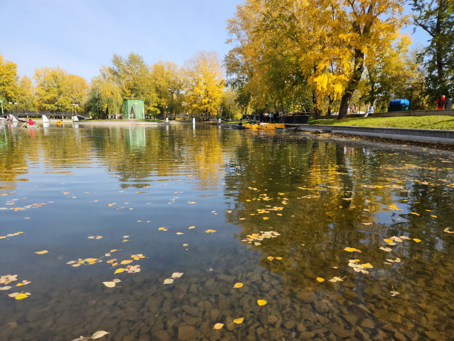золотая осень на пруду. желтые пруды. желтые пруды. балашиха салтыковка пруд. озеро тарелочка в салтыковке.