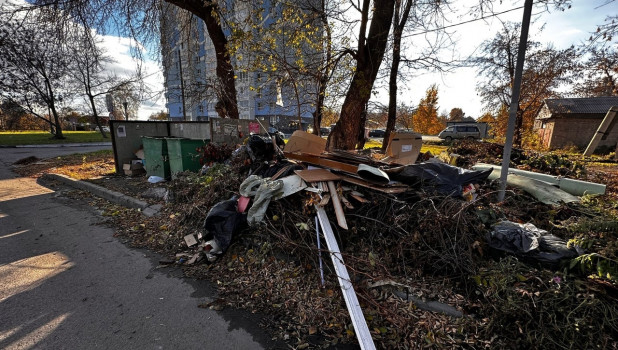 Жители Барнаула жалуются на горы мусора, которые не вывозят месяцами.
