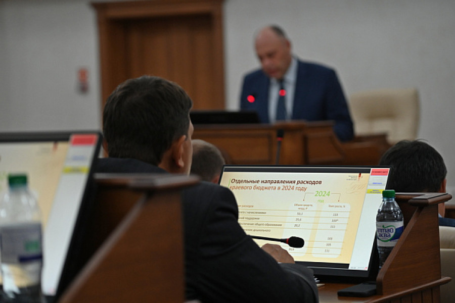 Публичные слушания по проекту краевого бюджета.