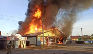 Пожар в Баево.