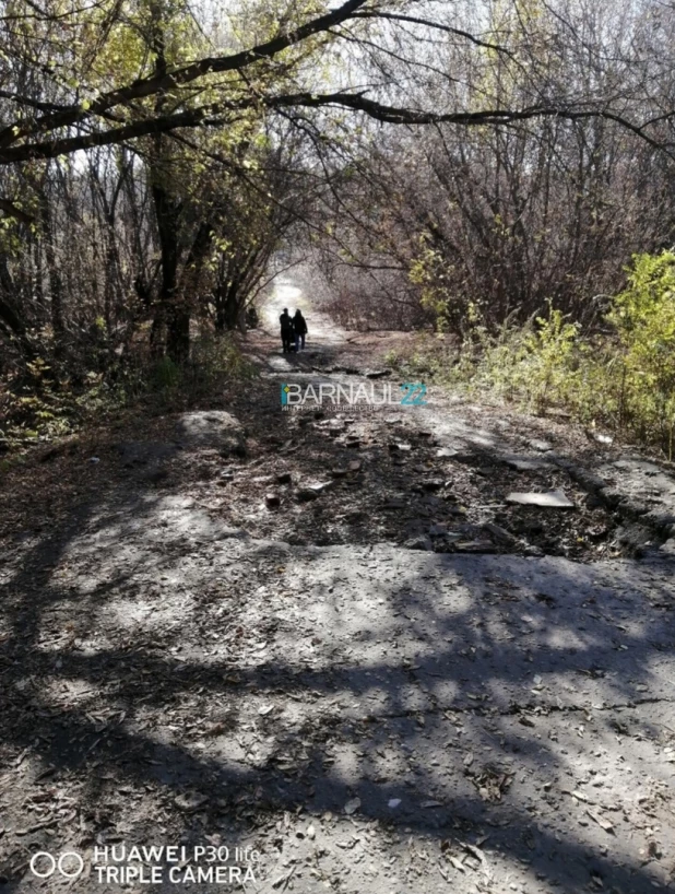 Вход в "Юбилейный" парк со стороны ул. Чеглецова