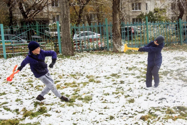 Первый снег 2019 года.