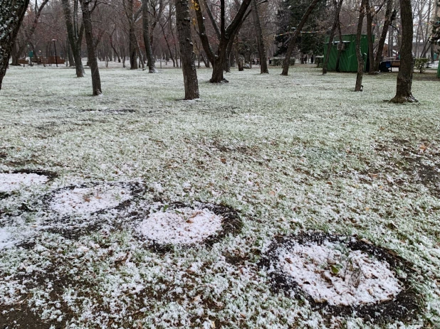 Заснеженный Изумрудный парк. 