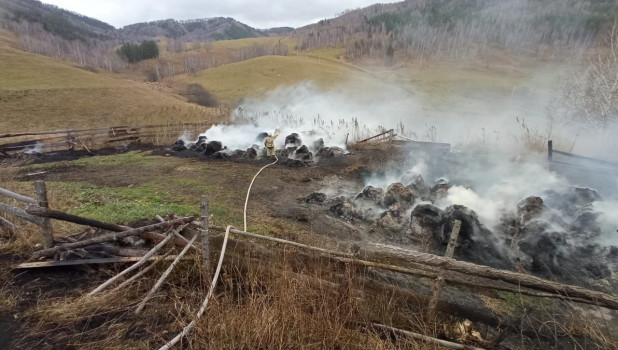 В Республике Алтай огонь уничтожил 157 тюков сена.