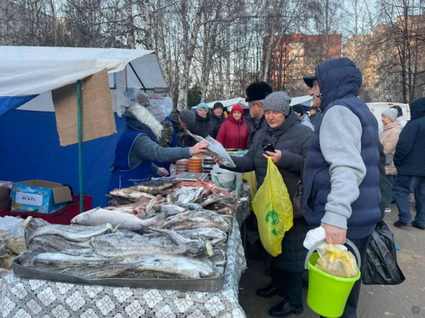 Продовольственная ярмарка в Барнауле.