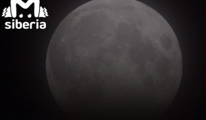 Гигантская Луна залетела в объектив телескопа омского планетария.