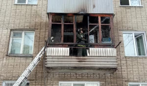 В барнаульской многоэтажки вспыхнул пожар.