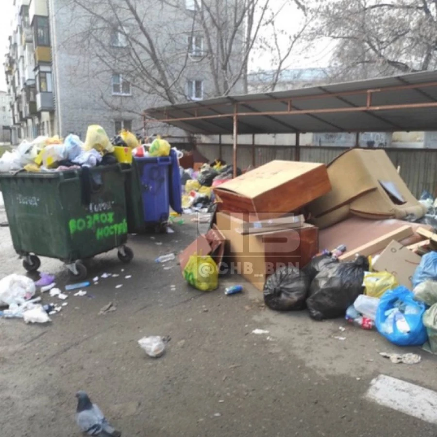 Жители Барнаула возмущены свалкой в центре города. 