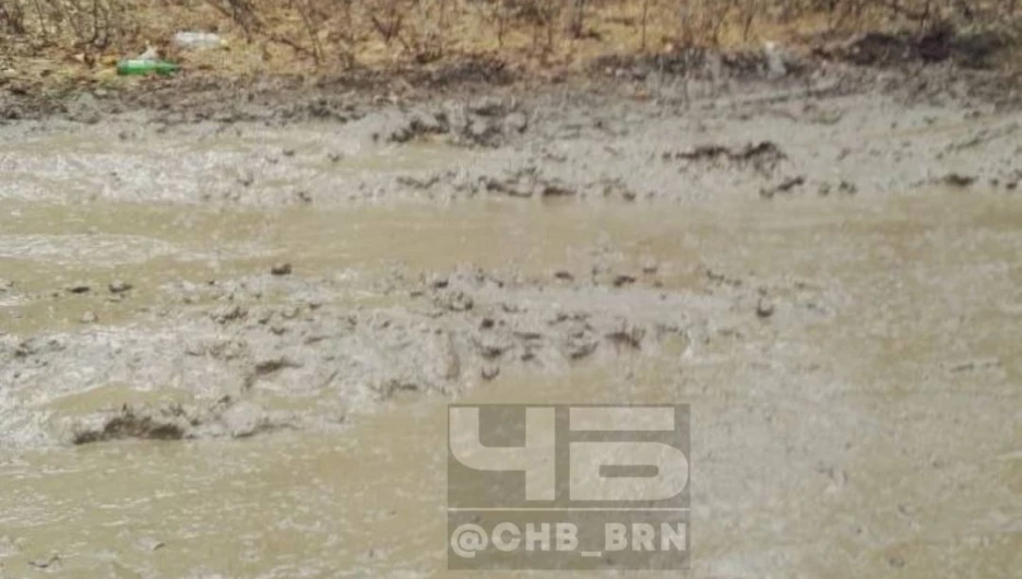 Барнаульцы жалуются на непролазную грязь в одном из микрорайонов