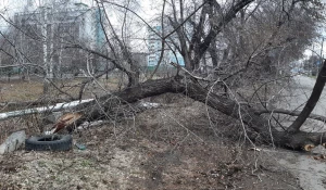 Ураган. Ущерб. 