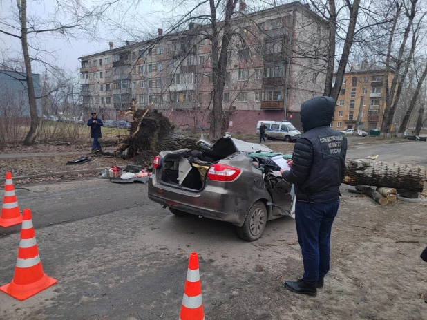 Обрушение дерева на машину. 