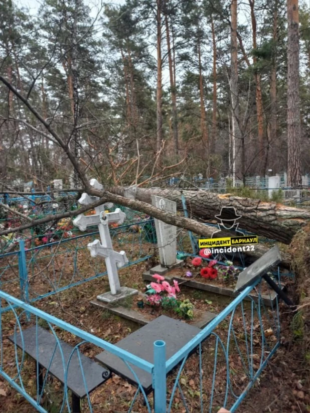 Жители показали, как выглядит кладбище в Первомайском районе после урагана. 