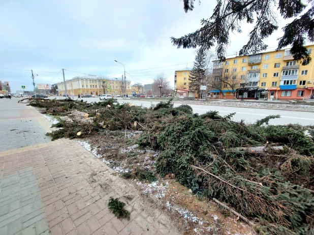 Упали все елочки: последствия урагана у театра драмы в Барнауле.