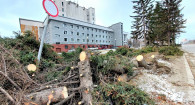 Упали все елочки: последствия урагана у театра драмы в Барнауле.