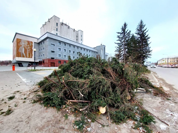 Упали все елочки: последствия урагана у театра драмы в Барнауле.