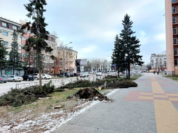 Упали все елочки: последствия урагана у театра драмы в Барнауле.