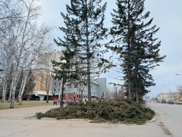 Упали все елочки: последствия урагана у театра драмы в Барнауле.