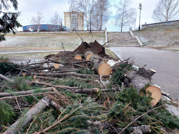 Упали все елочки: последствия урагана у театра драмы в Барнауле.