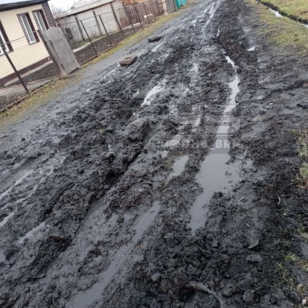 Жители Алтайского края жалуются на ужасные дороги. 