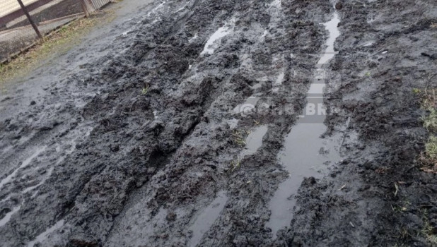 Жители Алтайского края жалуются на ужасные дороги. 