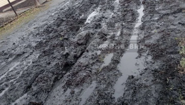 Жители Алтайского края жалуются на ужасные дороги. 
