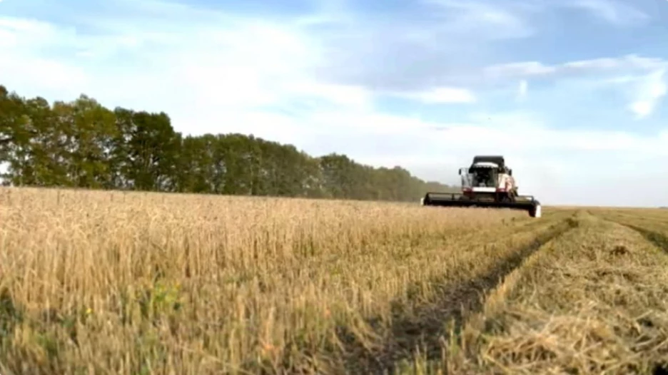 Сельскохозяйственное предприятие в Волчихинском районе.