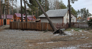 Барнаульцы жалуются на повисшее дерево, которое вырвало во время урагана. 