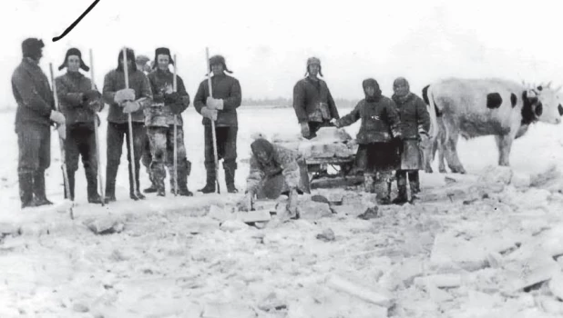 На содоломке. Январь 1944 года. Фото: Михайловский районный архив.