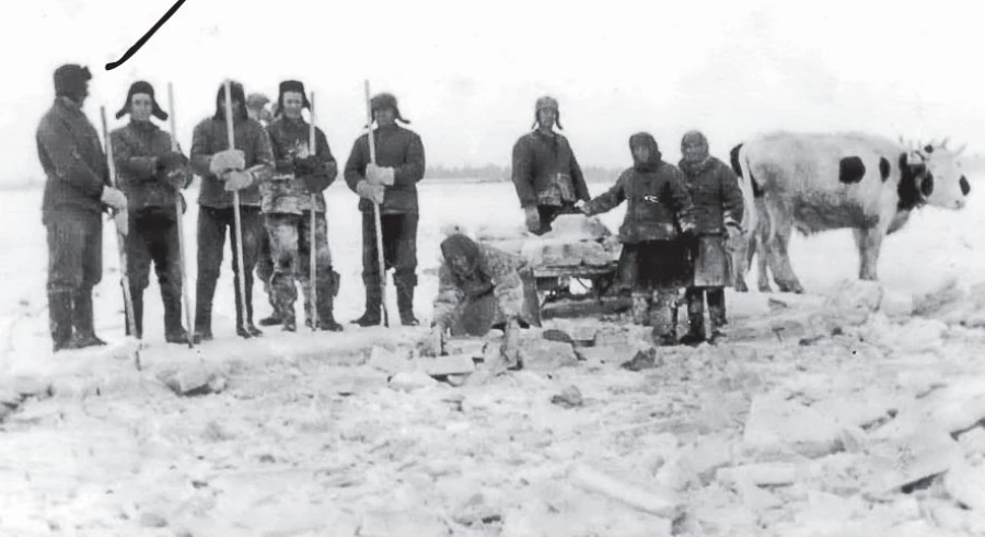 На содоломке. Январь 1944 года. Фото: Михайловский районный архив.