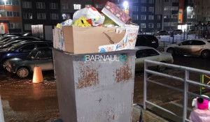 Барнаульцы вновь подняли мусорный вопрос.