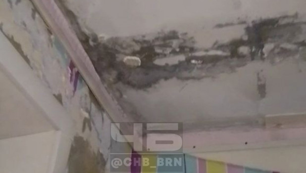Барнаульцы жалуются на потопы в квартирах.