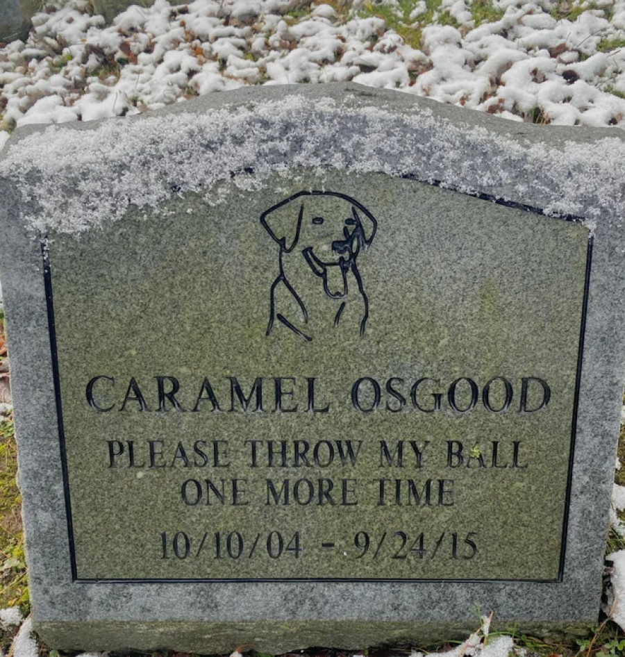 Надгробия на кладбище домашних животных. 