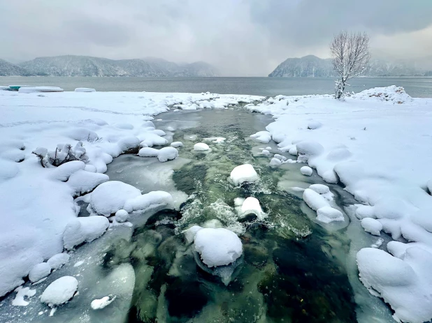 Прекрасные фото природы. 