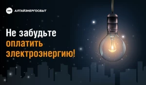 «Алтайэнергосбыт» рекомендует своим клиентам оплатить потреблённую в этом году электроэнергию до новогодних праздников.